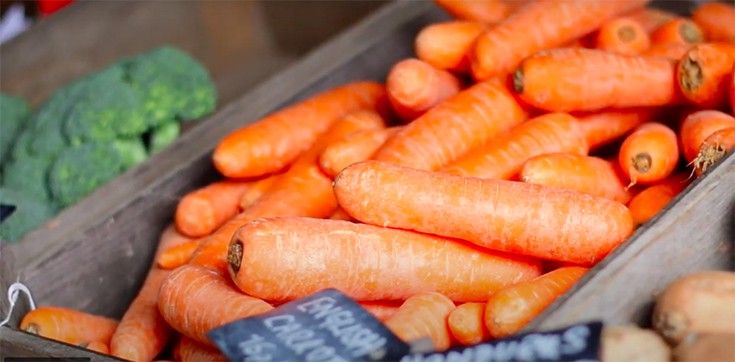 Boscastle Carrots