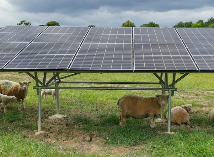 Ground Mounted Solar PV