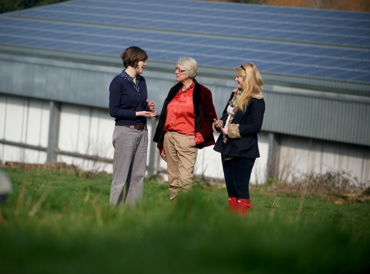 Quickes solar panels